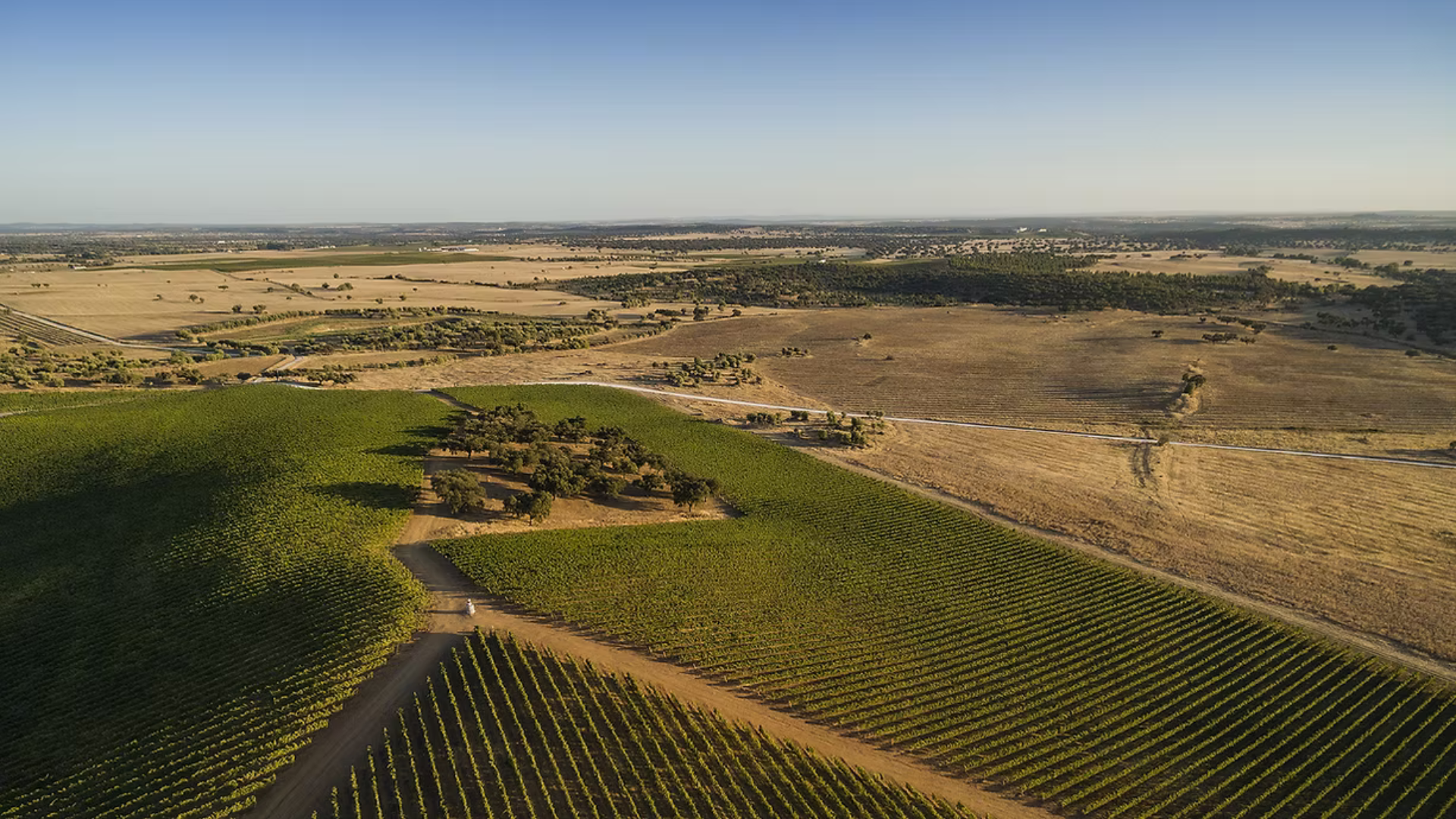 Art, Architecture & Wine Portugal’s Most Beautiful Wineries to Visit